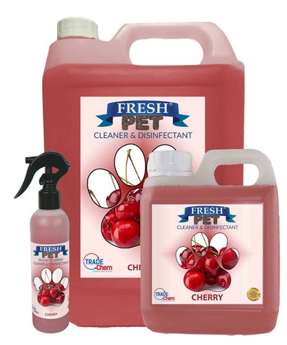 Kennel cattery pet - cattery,